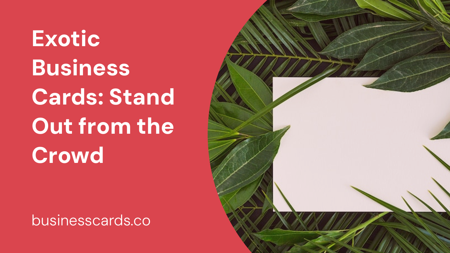 exotic business cards stand out from the crowd
