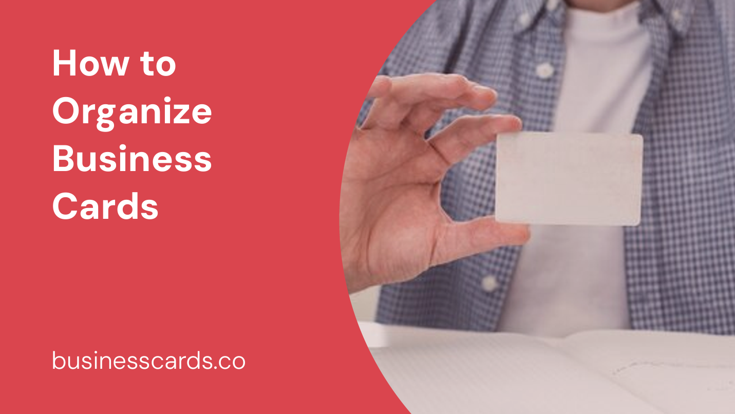 how to organize business cards