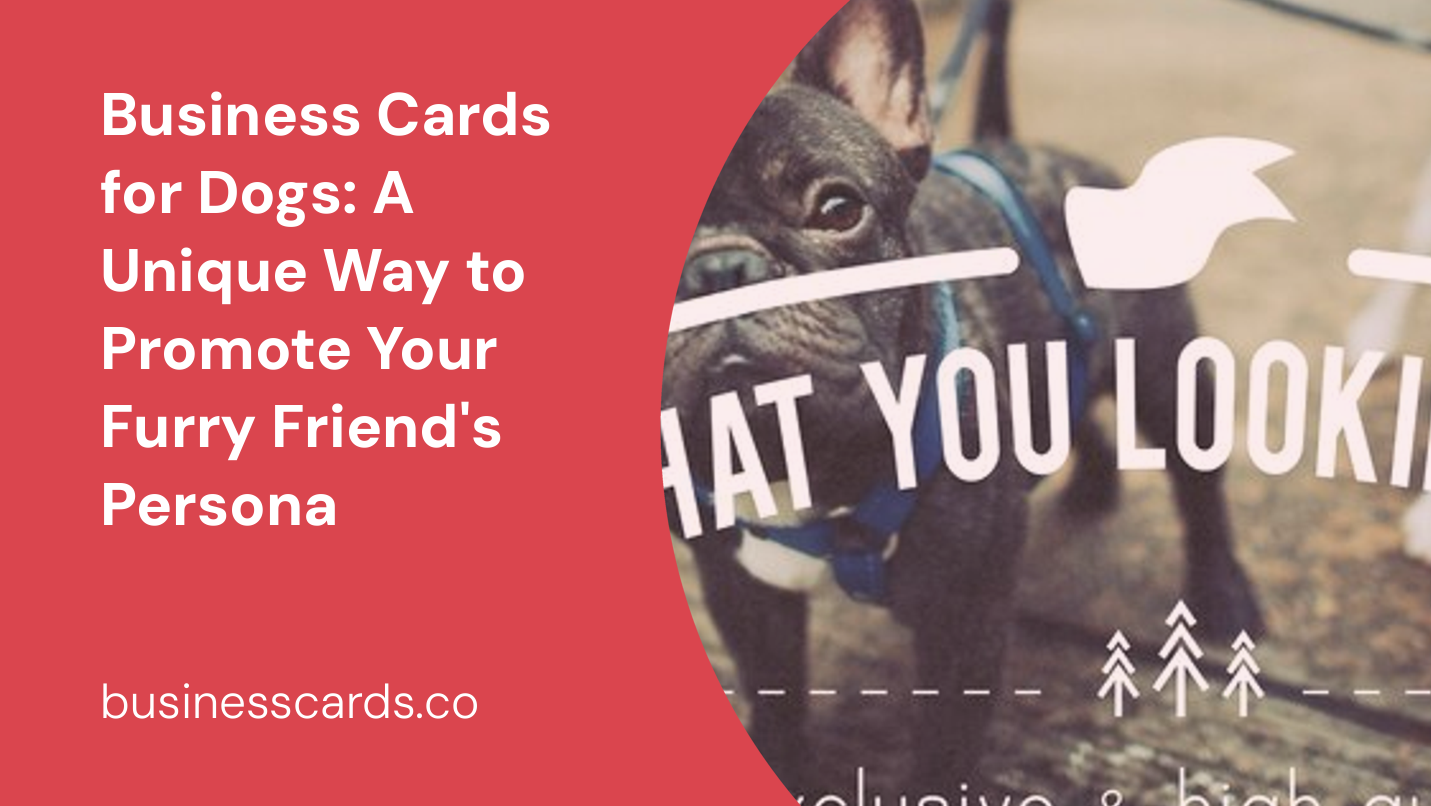 business cards for dogs a unique way to promote your furry friend s persona