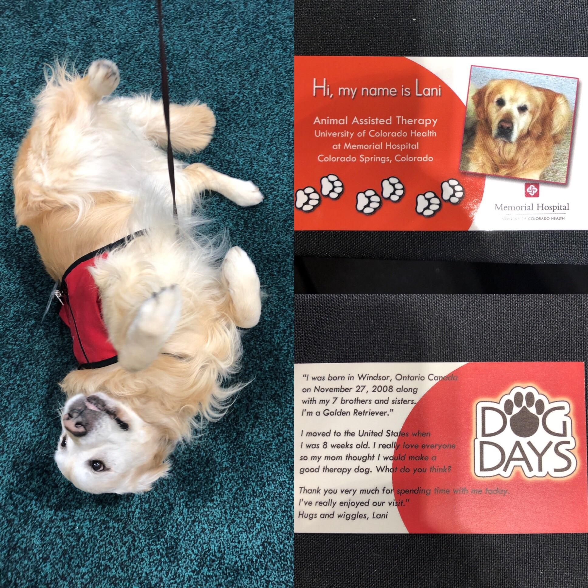 therapy dog business cards 2