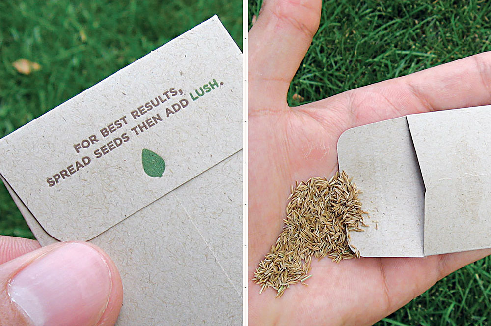 business cards with seeds 1