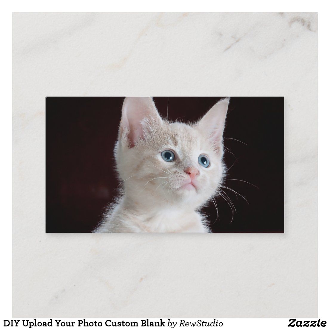 cat business cards 2