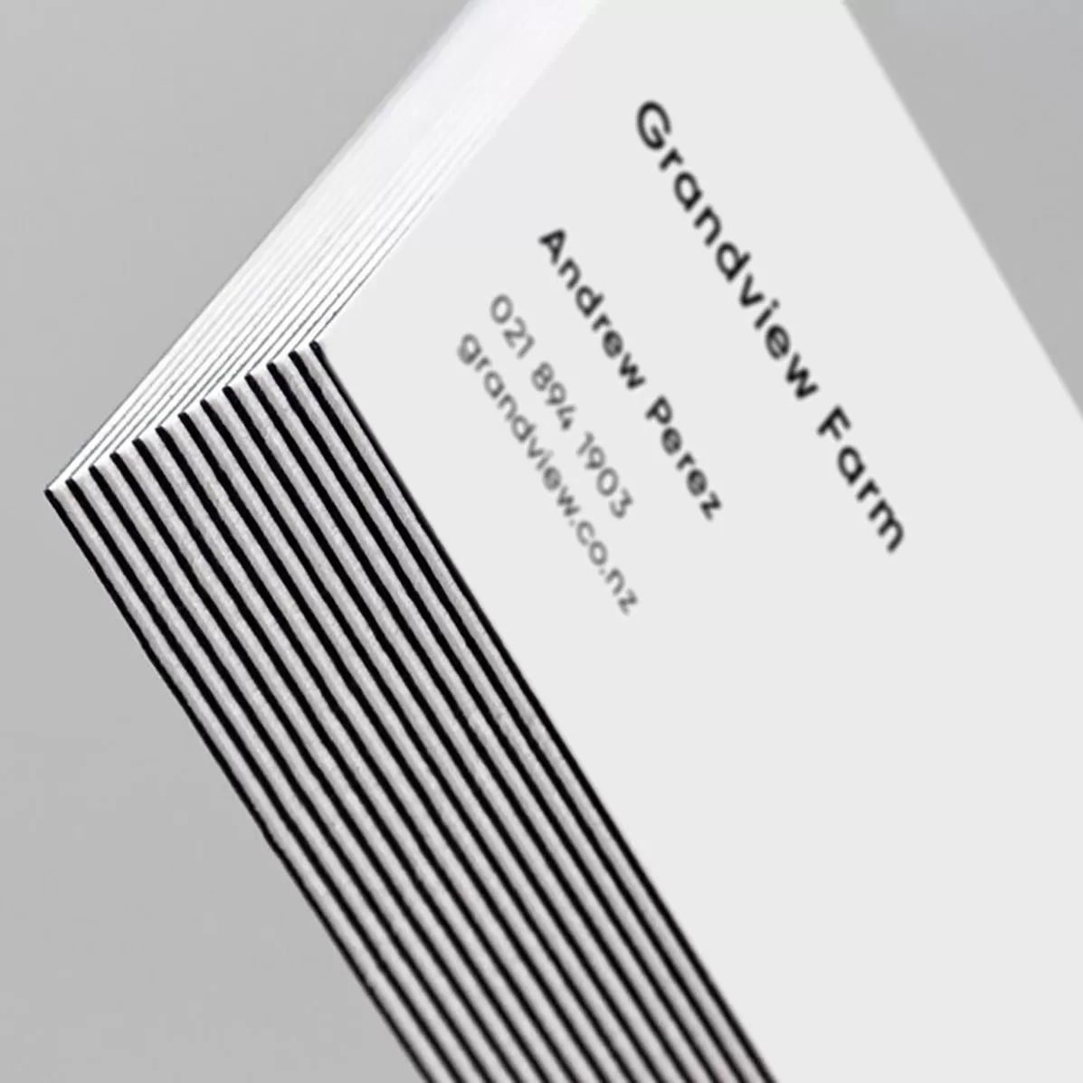 duplex business cards 1