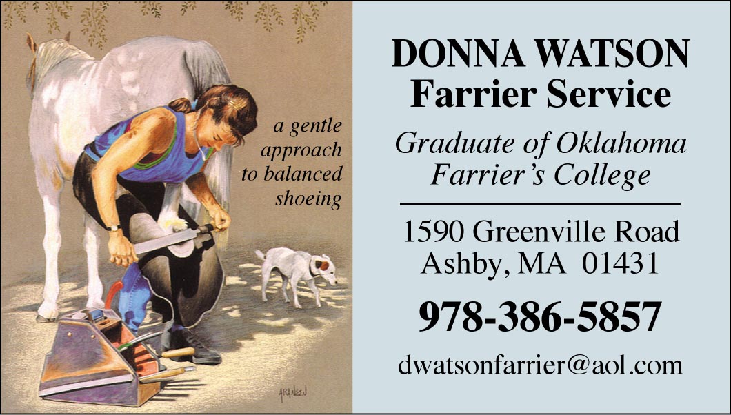 farrier business cards 3