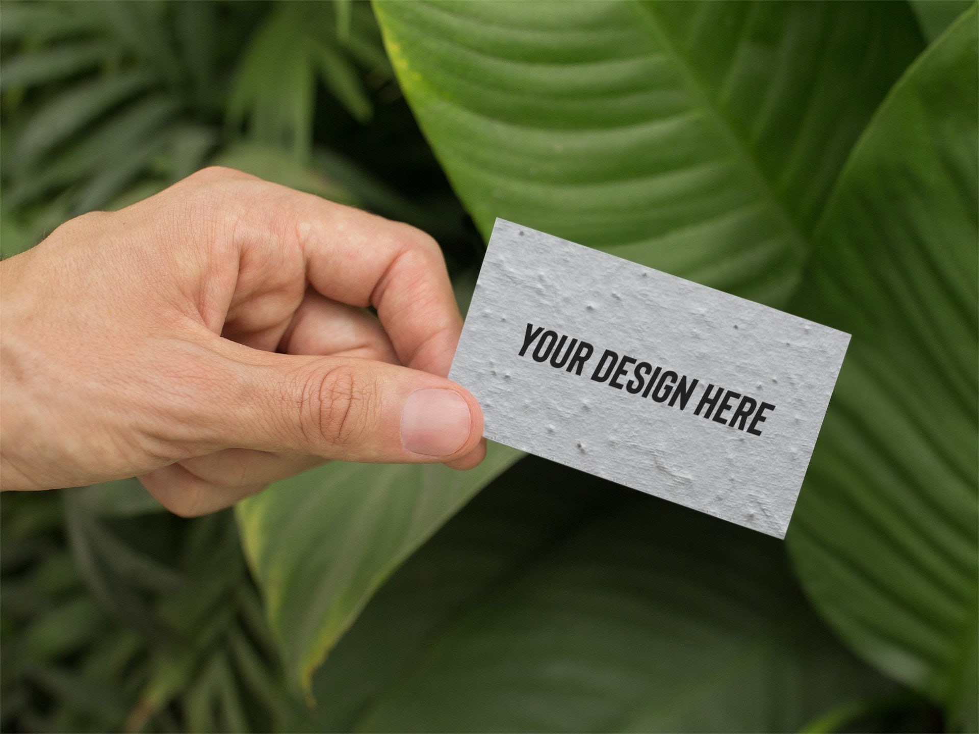 flower seed business cards 1