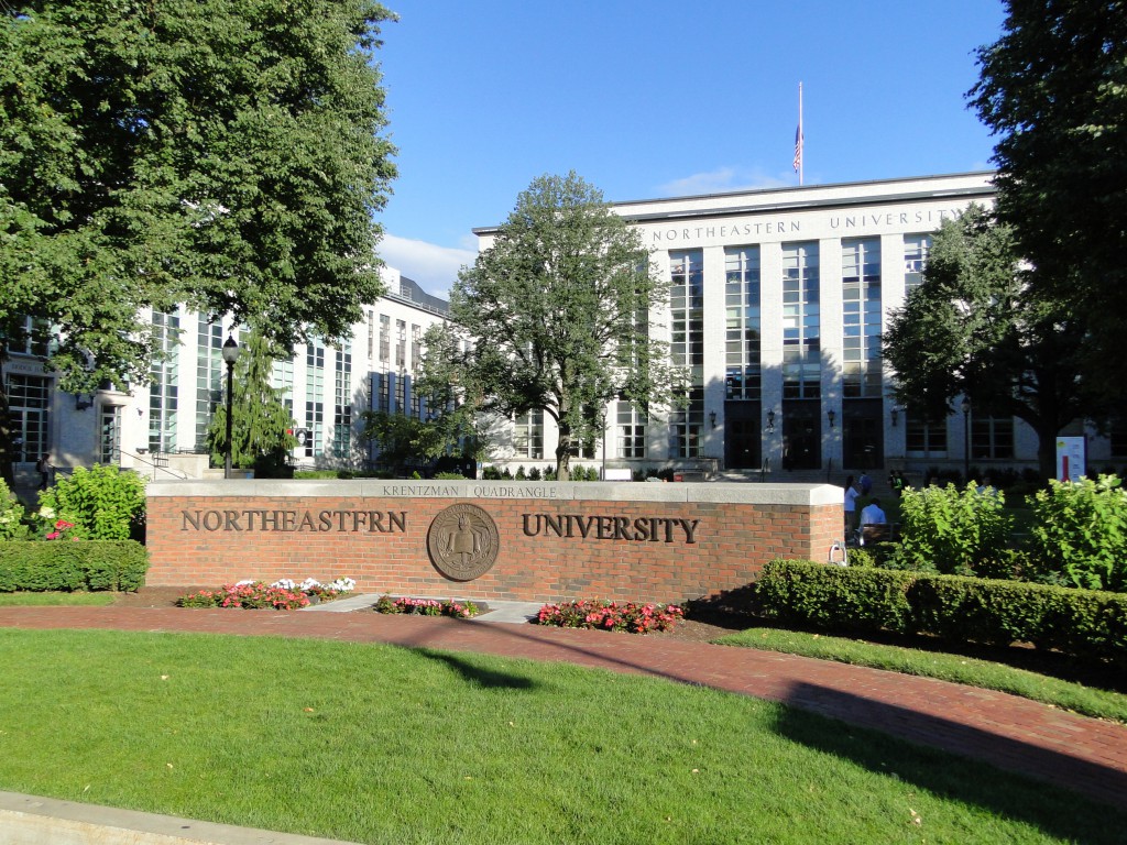 northeastern university business cards 3