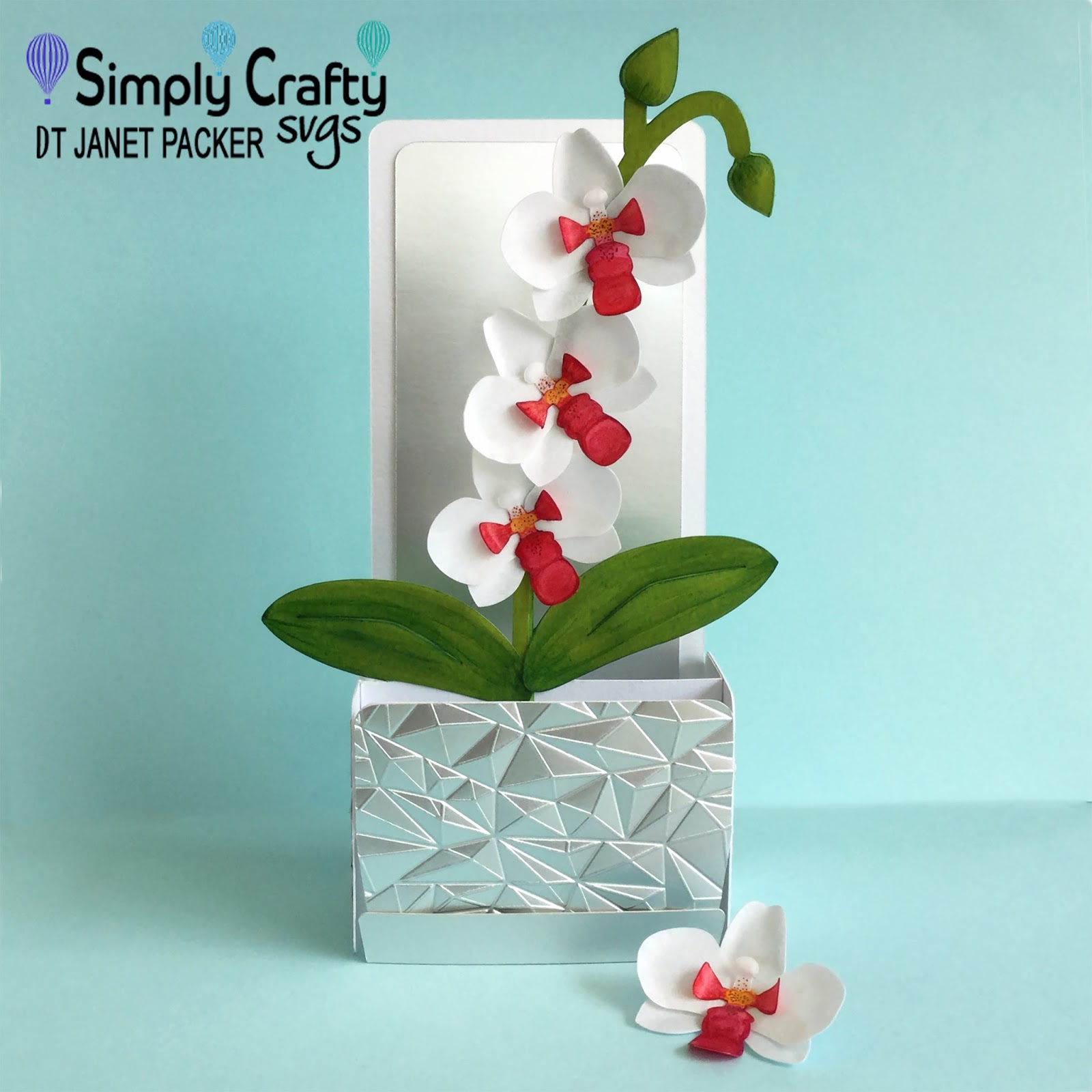 orchid business cards 5