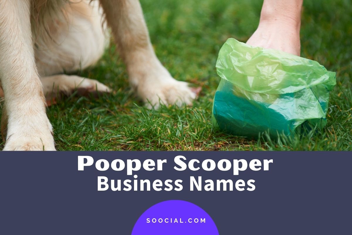pooper scooper business cards 2