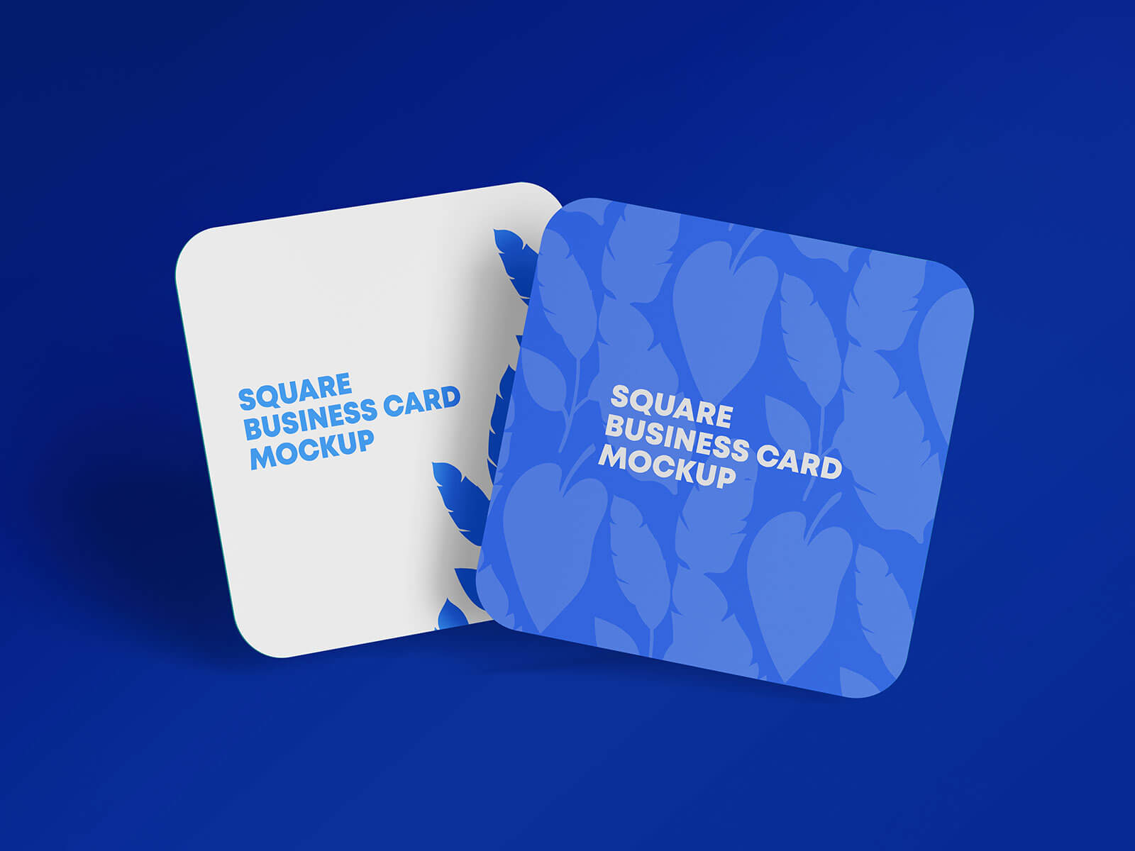 rounded corner square business cards 3