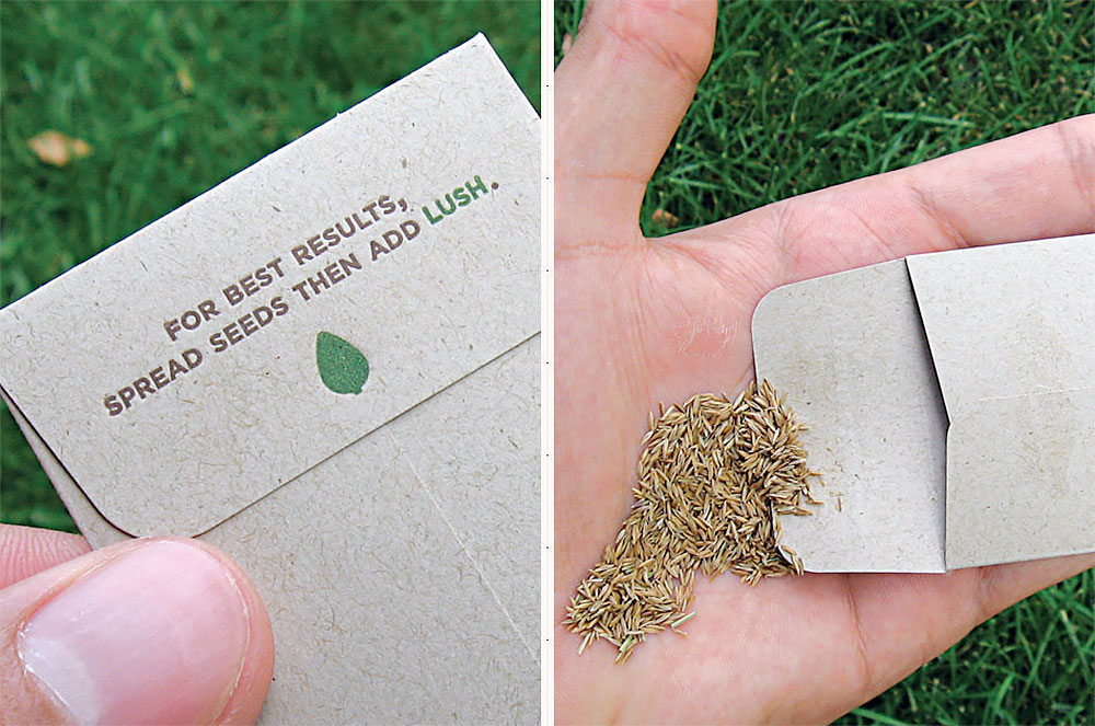 seed business cards 3